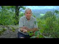 Energy For Development: Story of the Tiny Rapeseed