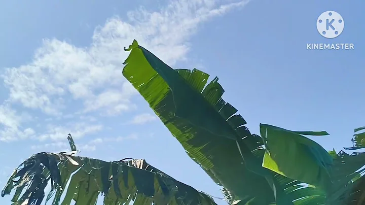 93rd Anniversary of the Indian Air force.