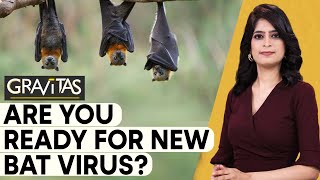 Gravitas: China set to birth another global pandemic? | What are jump zones \& should you be scared?