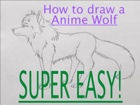 How To Draw An Anime Wolf Step by Step Drawing Guide by Dawn  DragoArt