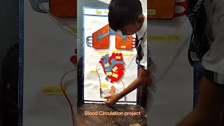 Blood Circulation in Animals #viral #new #science #explore #experiment #viral #feed
