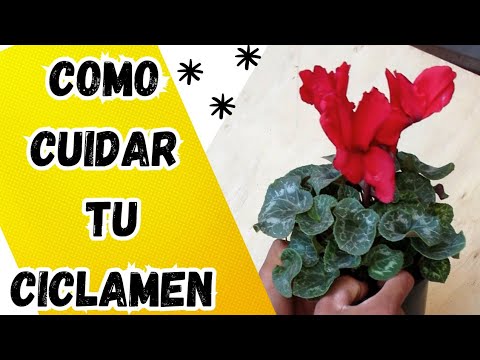 EL