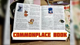 Что такое commonplace book и почему я начала его вести