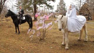 Свадебный клип.  Видеограф на свадьбу.  Михаил Петренко.  Новосибирск