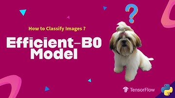 How to Classify images using Efficientnet B0