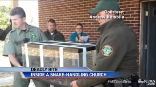 Snake Worshiping Pastor Dies From a Poisonous Rattle Snake Bit