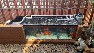 เสือ เทพารักษ์ : O4FS ชุดตู้ปลา 72 15 24 กรองข้าง 2 ชั้น Set 1