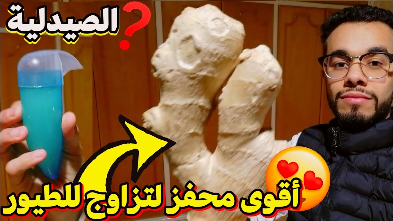 أقوى محفز لتزاوج للطيور طبيعي 100% فوائد الزنجبيل للطيور ✌🏻❤️