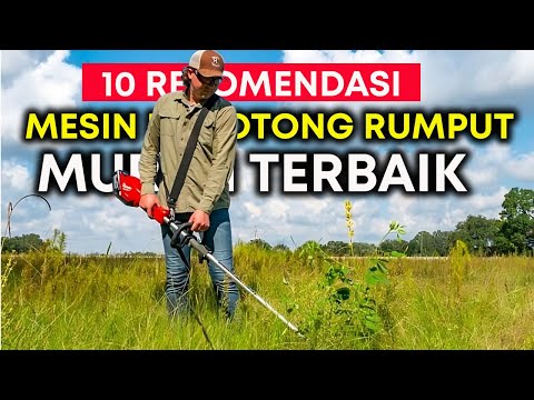 Video: Pemotong rumput mekanis terbaik: ulasan