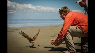 The Epic Migrations of Birds - Biodiversity Lecture Series with Peter Marra