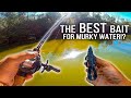 The EASIEST Way To Catch Bass in Murky Water!