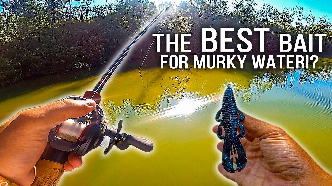 best spinning rod under $50