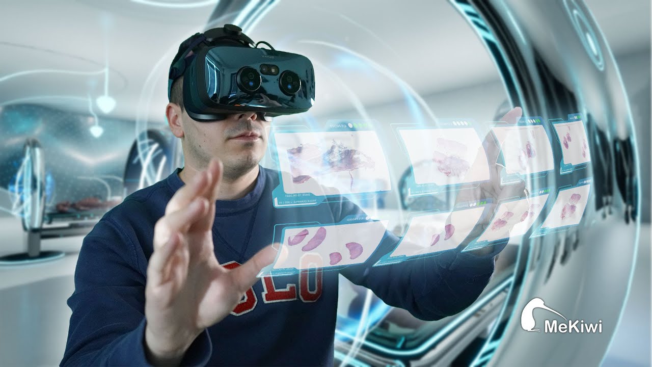 Histology XR by Mekiwi