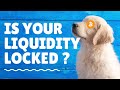 How To Check If Crypto Project Has Locked Their Liquidity