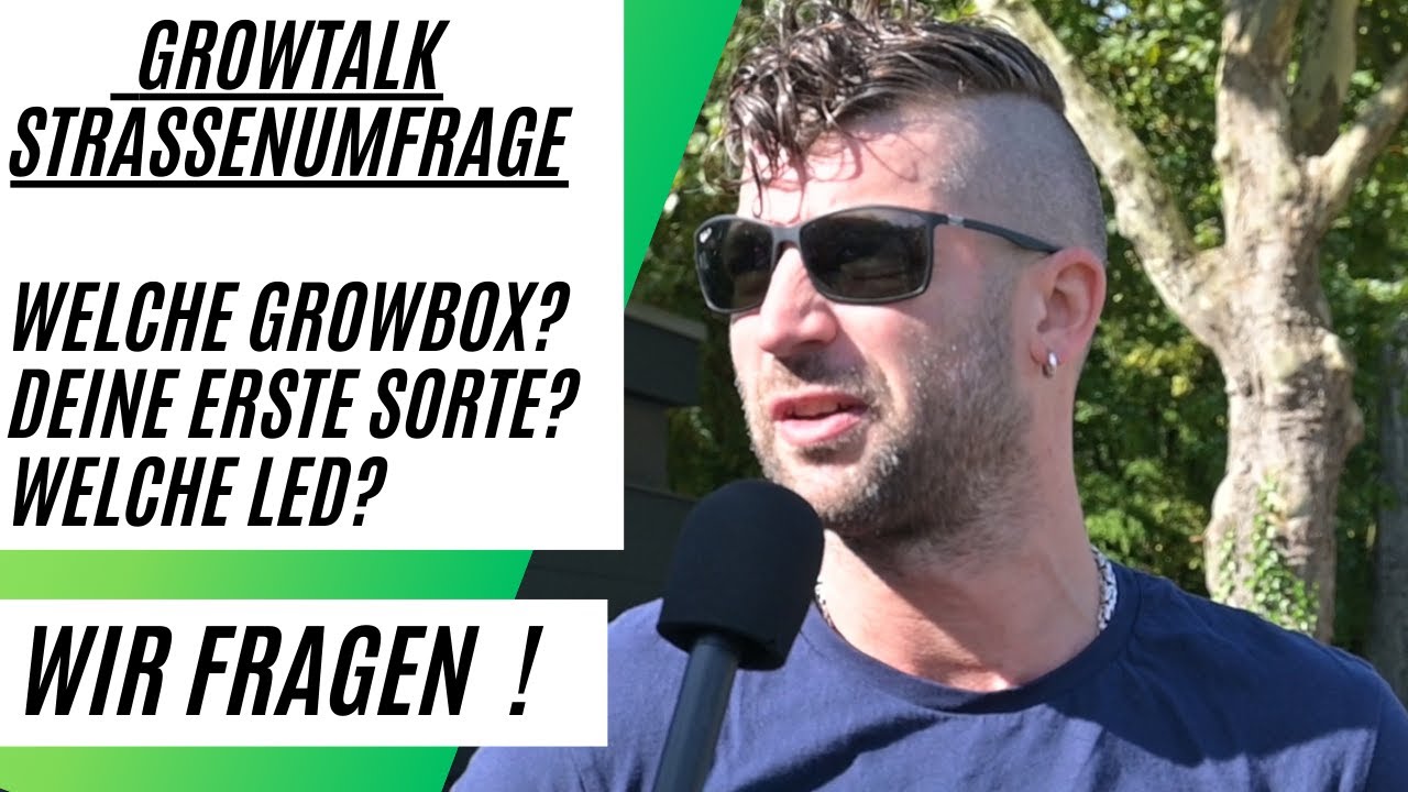 Straßenumfrage Cannabis Anbau Cannafair 2023 Sorte Growbox Dünger Led wir fragen Messebesucher.