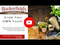 Grow your own food