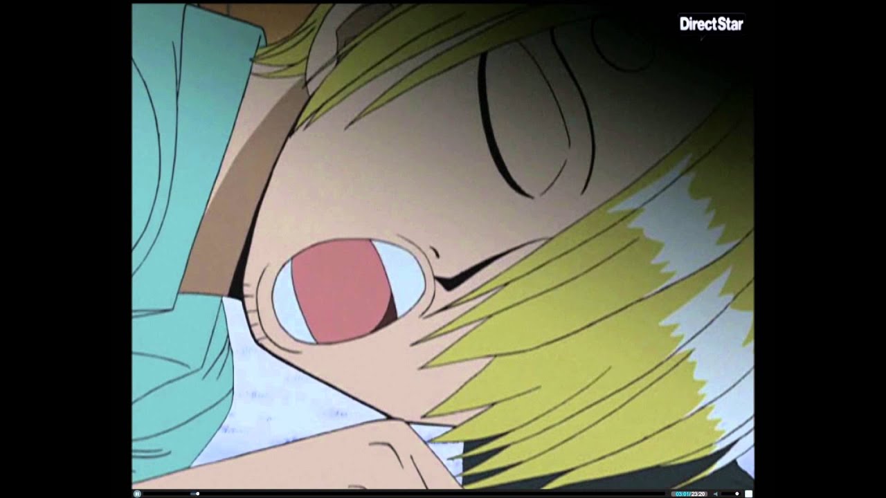 sanji et zoro comique