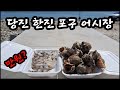 당진 한진 포구 어시장 자연산 소라 낙지 단돈 만원? 가성비 최고의 수산시장 공개 합니다.Korean fish market channel.