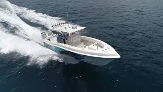 Dusky 33