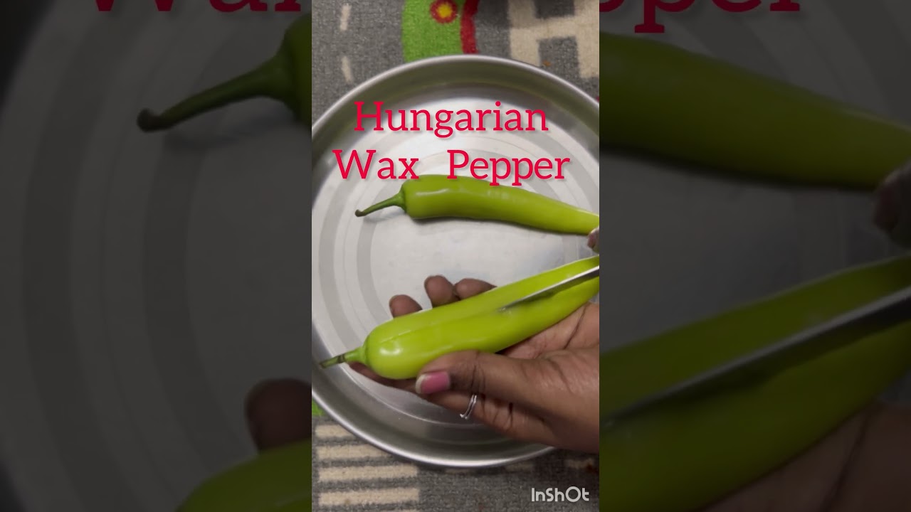 Hungarian Wax Pepper/ Milagai Bajji