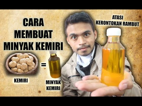 MINYAK KEMIRI ATASI KERONTOKAN RAMBUT  DAN  BREWOK  UNTUK 