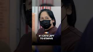 Woman charged with leaving 41 cats to starve