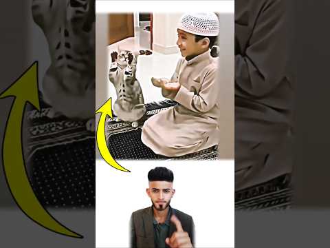 حين تصلي بروح صادقة حتى المخلوقات حولك تشاركك السكينة