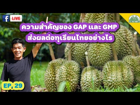 EP.29 ความสำคัญของ GAP และ GMP |ปุ๋ยตราเขาแก้ว (Official)