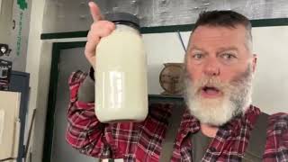 How do you milk a cow in the cold? And other developments