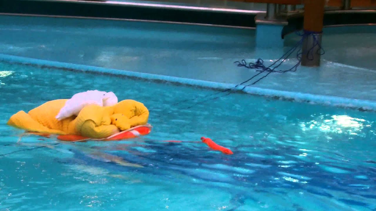 Towel animals on Carnival Breeze 