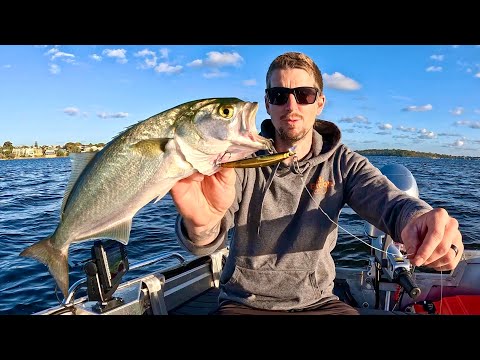 Fishing the Swan River Perth Series - Part 1