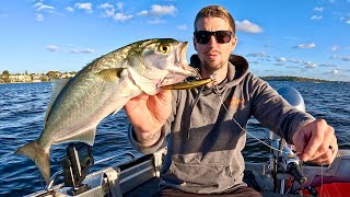 Download lagu IM LEARNING to Fish the Swan River Pt.1 ( Tailor )