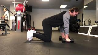 Quadruped DB Row