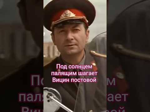 Под солнцем палящим шагает Вицин постовой. #shorts #кино #фильм #нашекино #вицин #зелёная #film