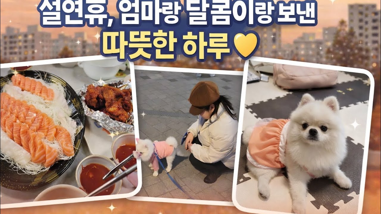 2026년 2월 13일 설 연휴, 할머니랑 달콤이랑 보낸 따뜻한 하루 💛