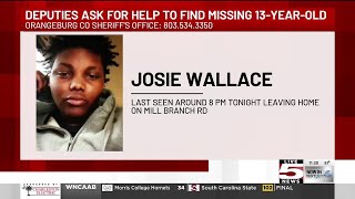 VIDEO: Orangeburg County deputies searching for missing teen