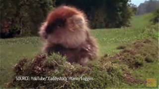 Rodenator: Boom! Goodbye Gophers