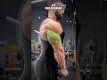 Complete Arm Workout | 4 Exercises #shorts