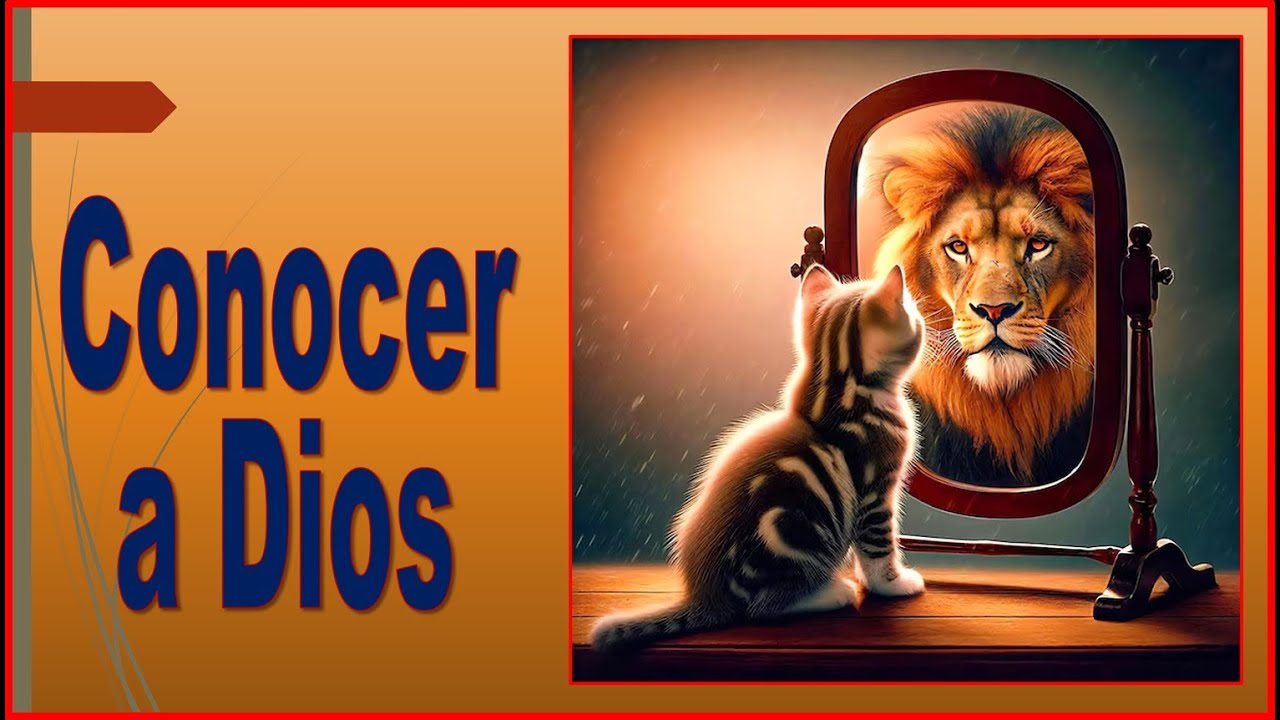 RECONECTANDO CON NUESTRA DIVINIDAD - RESUMEN -