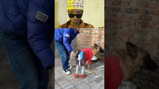 KAVUNJA MBAVU ZANGU HUYU MBWA 🤣🤣☝️🤣#shortsfeed #comedy #prank