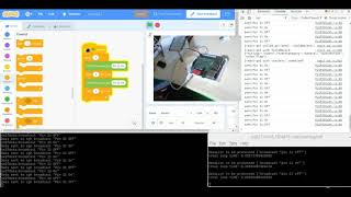 Scratch 3 Sheeptester extension using secure websockets