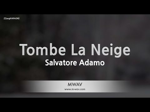 Salvatore Adamo-Tombe La Neige (Karaoke Version)