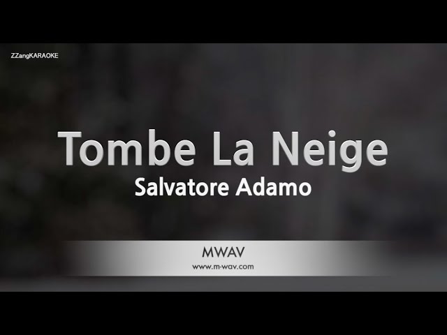 Salvatore Adamo-Tombe La Neige (Karaoke Version)