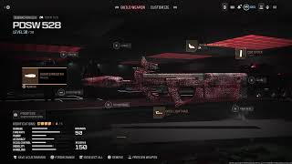 PDSW 528 - with (Mag of holdin) 300 KILLZ PACKED + ELDER Dark Aether