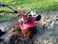 prezentacja wszystkich rebaków z wypozyczalni