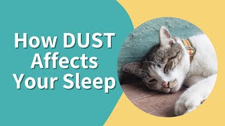 The Dust Bad Sleep Connection How Dust Affects Your Sleep