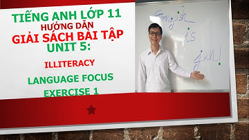 Tiếng Anh lớp 11 - Giải SBT - Unit 5 - Language focus - Exercise 1