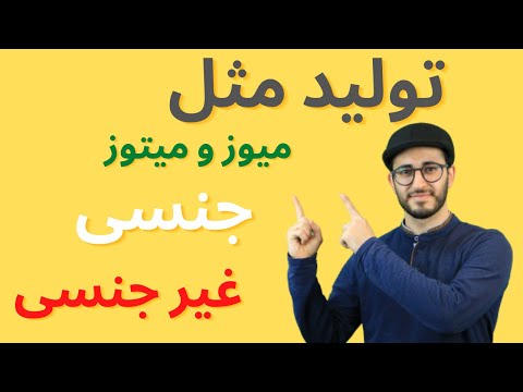 علوم هشتم - فصل هشتم (تولید مثل)