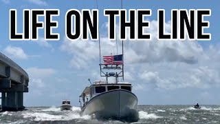 Amendment 15 - Pelagic Longline Fishing