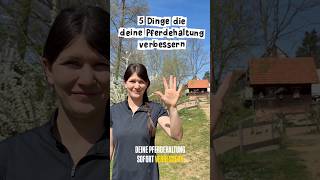 5 Dinge die deine Pferdehaltung sofort verbessern 😱❤️